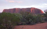 Uluru in Morgendämmerung