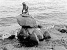 Kopenhagen die kleine Meerjungfrau 31.07.1965