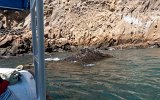 Isabela Punta Vicente Roca Glasbodenboot