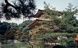 Kyoto Kinkakuji-Tempel (Goldener Pavillon) (2)