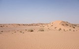 Dünen im Wadi Araba