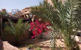 Siedlung im Wadi Rum