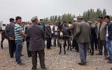 Viehmarkt von Kashgar (7)